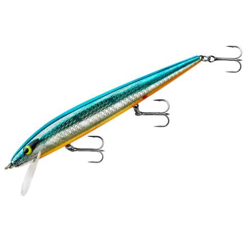 blue silver and orange belly rapala fishing lures Smithwick Perfect 10 Rogue - Chrome/Blue with Orange Belly