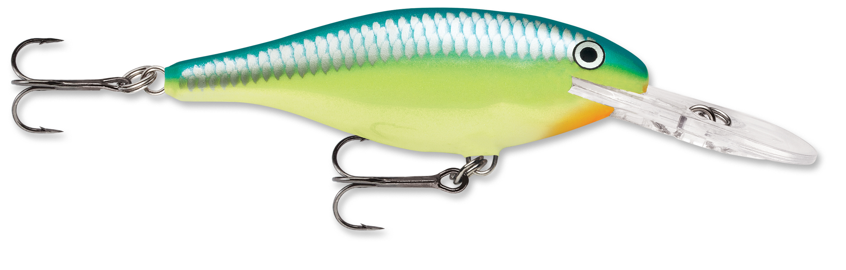 Rapala Dives To Crankbait Lures DT06 Caribbean Shad CRSD - Fishing