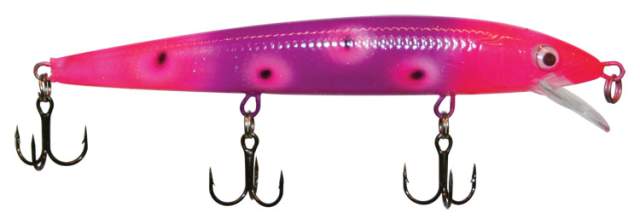 Warrior Lures Custom Painted Rapala Husky Jerk #12 Crankbait - Purple  Salamander - Precision Fishing