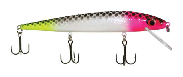 Warrior Lures Custom Painted Smithwick Perfect 10 Rogue Crankbait - White  Perch - Precision Fishing