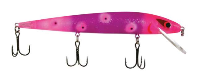 Warrior Lures Custom Painted Smithwick Perfect 10 Rogue Crankbait - Purple  Salamander - Precision Fishing