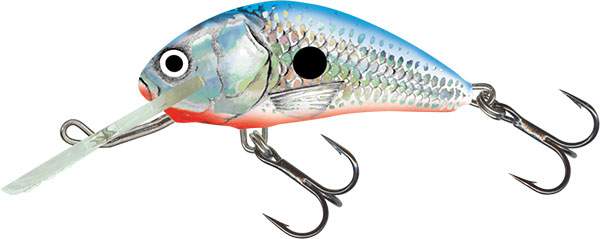 Salmo Floating Hornet #5 - Silver Blue Shad - Precision Fishing